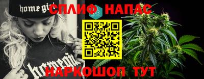 СК Краснодар