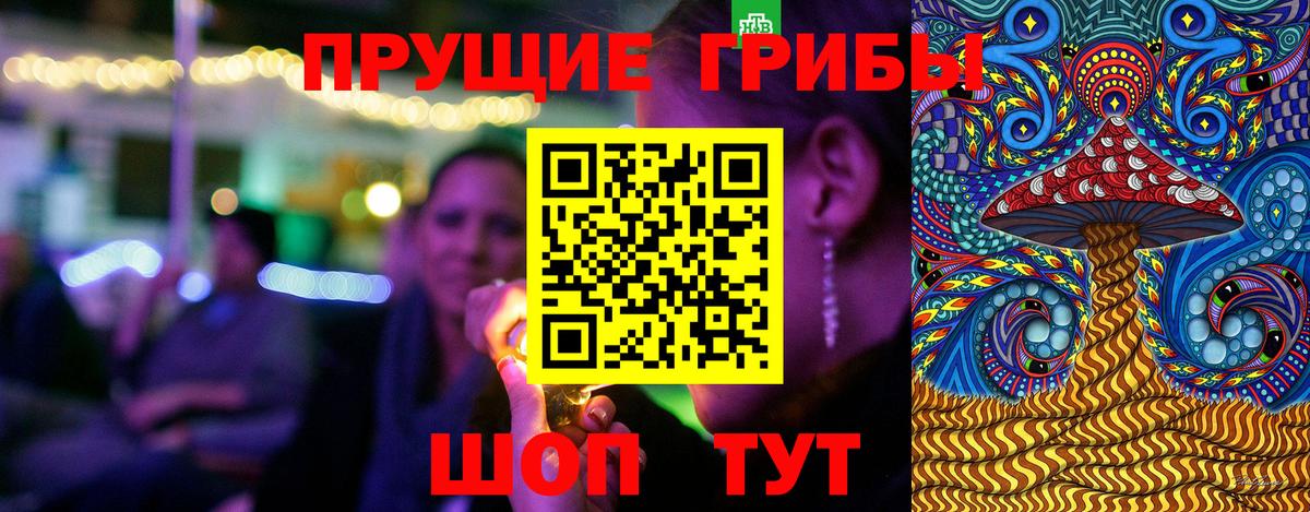Псилоцибиновые грибы Psilocybine cubensis Ишим