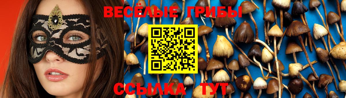 Ишим  Псилоцибиновые грибы прущие грибы  Галлюциногенные грибы прущие грибы  Вход с VPN 